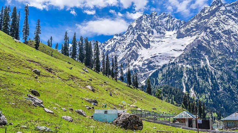 Lavish Kashmir Package, 6-nights, 7-days